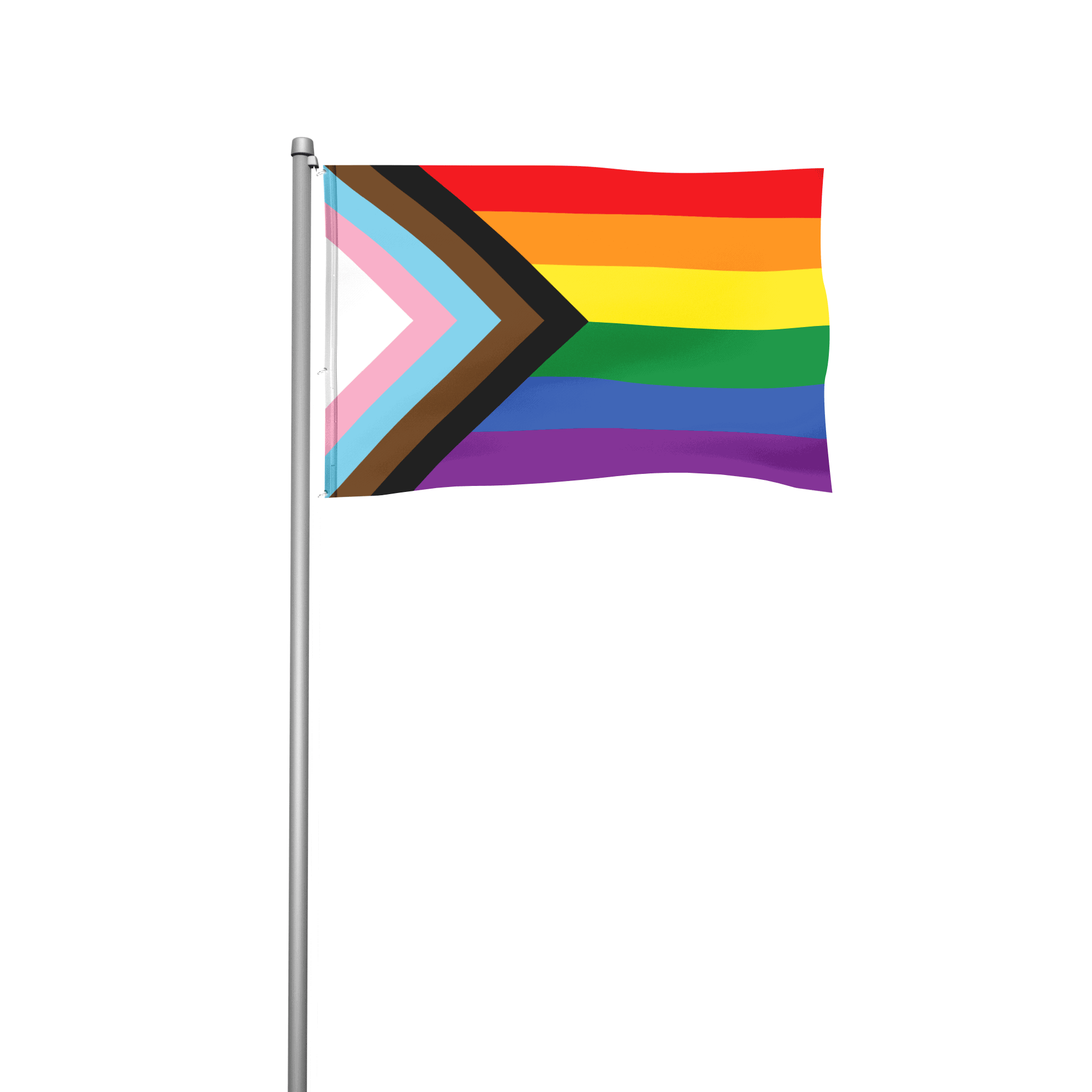Progress-Pride - Hissfahne